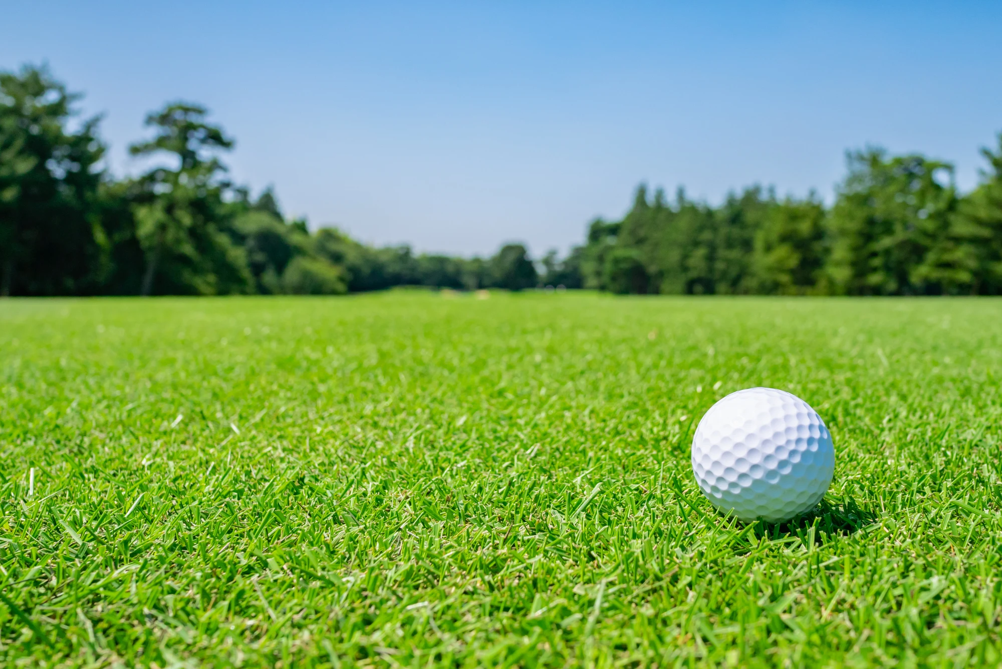 Las nuevas generaciones que están impulsando el crecimiento del golf mexicano