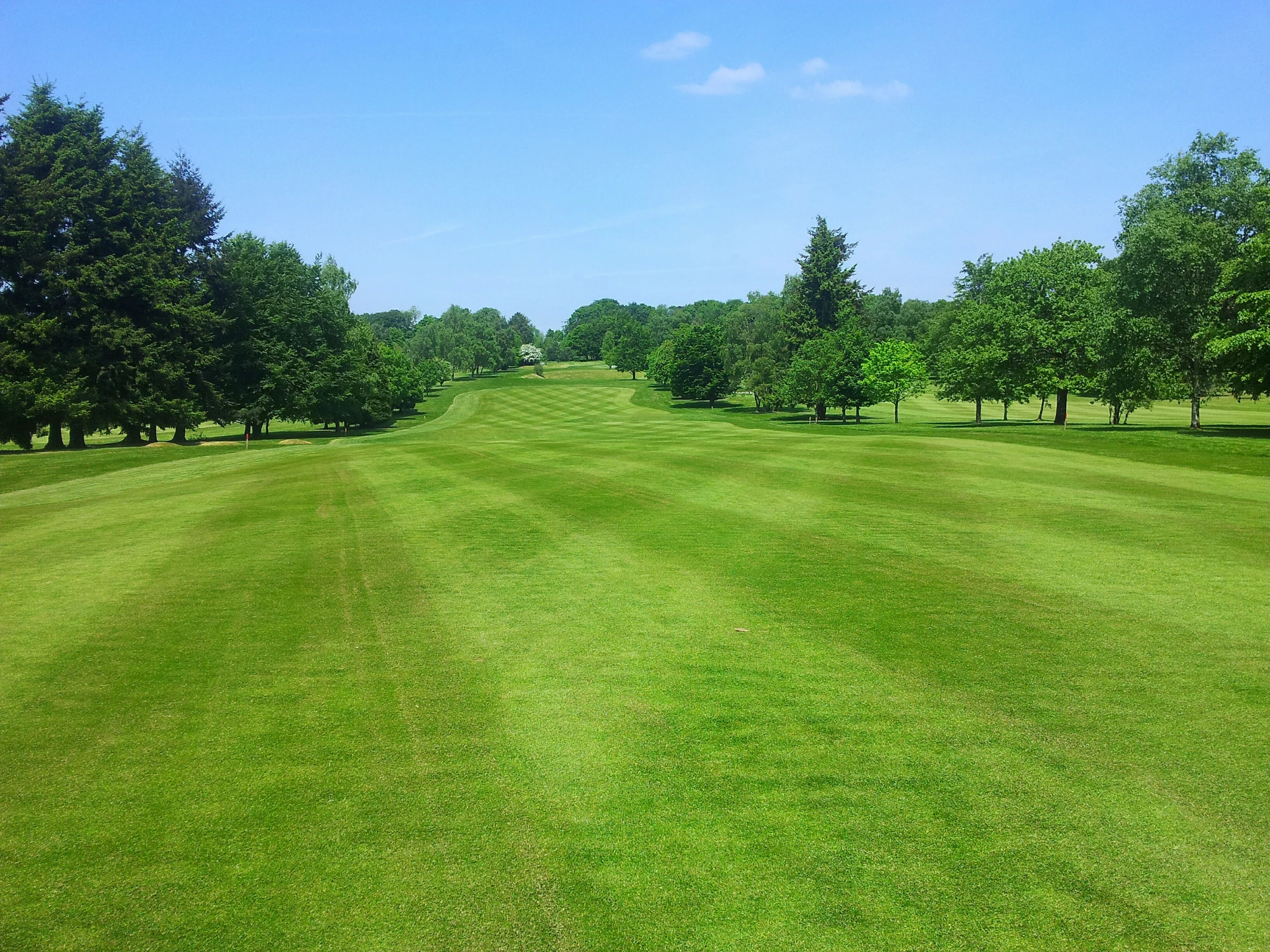 Blog de golf en México — análisis y noticias de The Fairway Network